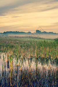 朦胧的风景,宁静的湖泊绿色的田野图片