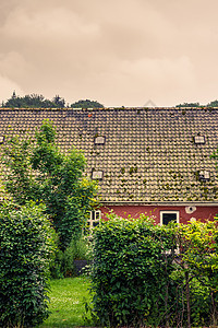 绿色篱笆的老房子图片
