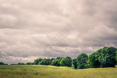 绿色田野景观与多云天气图片