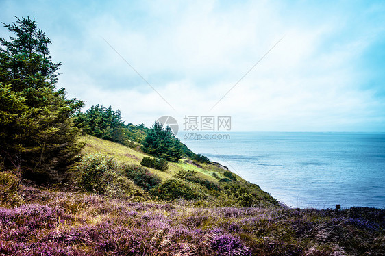 石楠田野海洋多云的天气图片