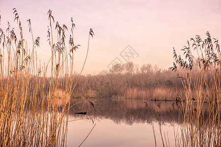 雾蒙蒙的秋天早晨,个小小的田园湖图片