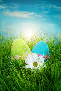 复活节蓝色彩蛋蓝天背景下的草地上装饰复活节彩蛋背景
