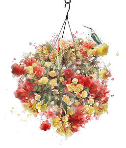 海棠花挂篮水彩数码画图片