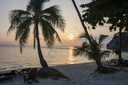 洁颜水日落时海滩上的棕榈树甲板椅KohPhaNn泰国背景