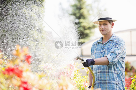 男人温室外浇水图片