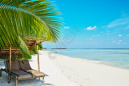 美丽的海滩马尔代夫与躺椅热带的高清图片素材