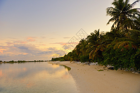 热带海滩自然景观场景与白沙夏天图片
