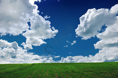 自然背景,绿草如茵,蓝天白云图片