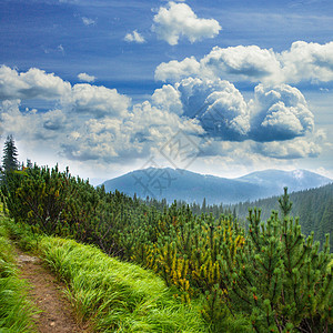 草地云杉山脉的景观图片