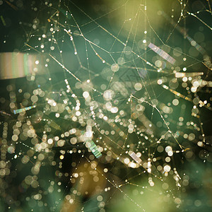 蜘蛛网上晨露的抽象背景自然灵感图片