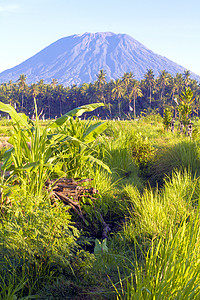山阿贡巴利岛的照片印度尼西亚图片