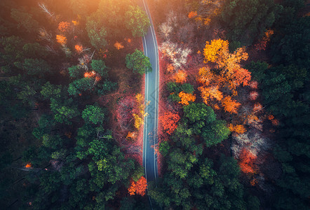 日落时美丽的秋林中的道路鸟瞰美丽的风景与空旷的乡村道路,树木与绿色,红色橙色的叶子穿过公园的高速公路飞行无人机的顶图片