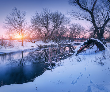 日落时的冬季森林河流五颜六色的景观与树木,河流与倒影寒冷的夜晚森林,湖泊,太阳紫色的天空美丽的雪冬诞背景图片