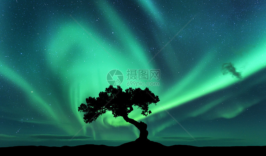 北极光山上棵树的轮廓极光绿色的北极光天空星星北极光夜间景观明亮的极光,树木,黑暗的天空自然背景图片
