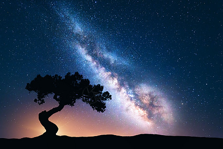银河,山上只棵老歪树五颜六色的夜景,明亮的银河,星空树木夏天太空背景惊人的天体摄影美丽的宇宙旅行图片