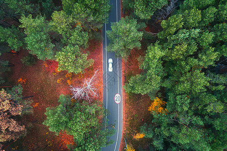 日落时,夏季森林里用模糊的汽车俯瞰道路令人惊叹的景观与乡村道路,树木与绿叶晴天穿过公园的高速公路飞行无人机的顶部图片