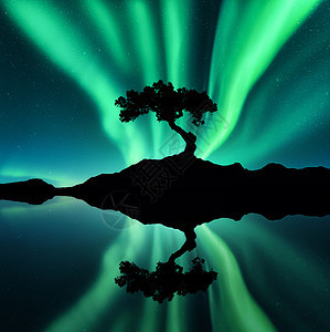 绿色的北极光岩石上棵树的轮廓星空北极光夜间景观与明亮的北极光,树木,湖泊,天空反射水中自然背景绿图片