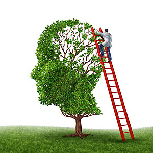 大脑记忆医学检查,医生红色的梯子上爬高,检查棵人头状的树,痴呆病防治研究的象征,白色的背景下图片