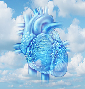 心脏健康医学与人类心血管身体的部分,个健康的人天空的背景,个医学标志的清洁动脉图片