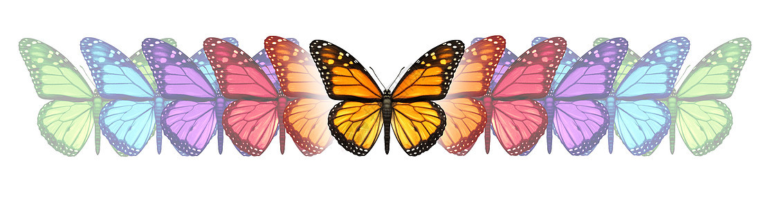 想象自由与帝王蝴蝶的变化经历颜色的变演变,个的自由表达创意创新的白色背景图片