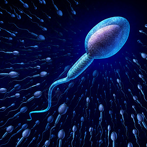 畸形精子人类精子细胞男生育与显微镜下的精子细胞向难以捉摸的雌卵子游动,遗传信息传递受孕的医学生殖符号背景
