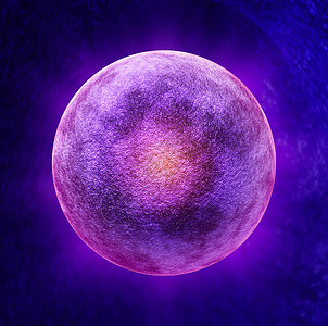 人类卵细胞医学符号个三维微观生殖健康,代表排卵过程中的个卵子,用于月经周期期间可育女体内的解剖图片