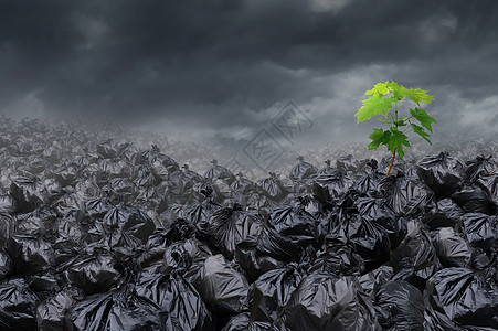 环境希望的,垃圾场堆放堆肮脏的垃圾,棵新的绿色树污染中生长出来,自然全球健康持续力量的隐喻背景图片