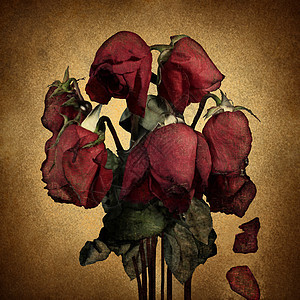 失的爱破碎的心的情感与枯萎的垂死的红玫瑰落旧羊皮纸上的花瓣,悲伤悲伤的象征,关系的失败浪漫的拒绝图片