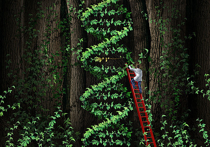 基因治疗DNA螺旋与医学遗传学专家医生梯子上攀登植物,代表人类染色体解剖的部分,基因测试修复的生物技术隐喻图片