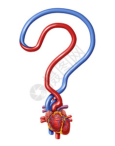 心脏问题人体解剖学,泵血形状为问号,健康信息的象征,并指导健康的身体白色背景下被隔离,内部心血管器官的医疗保健图标图片
