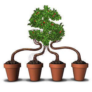 队投资集投资的商业理念四个种植花盆,树木生长成个美元货币符号的形状,队合作建立财富的金融隐喻图片