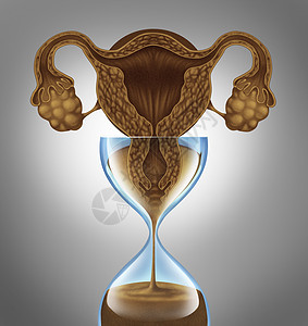 女生物钟的种子宫卵巢,解剖女沙漏中的落沙来隐喻人类更期衰老过程前的焦虑压力怀孕压力背景图片