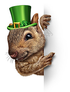 春天松鼠横幅的可爱的快乐野生动物戴着幸运的绿色帕特里克日帽,四叶草着个空白的标志节日的季节象征图片