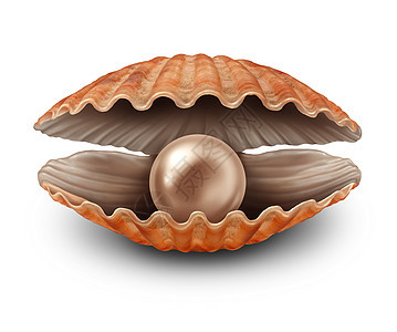 珍珠个开放的贝壳中,个罕见的宝藏发现财富的隐喻,个贝壳,个宝贵的自然珍贵的球体个白色的背景图片