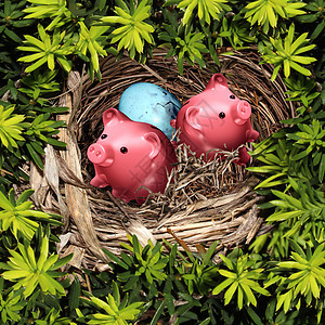 储蓄巢安全投资金融粉红色储蓄罐个鸟蛋个安全的树避难所财富退休基金的象征图片