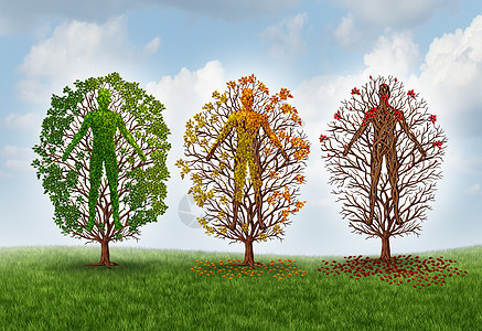 人类衰老的健康的恶化由于疾病身体中的棵健康的绿色树,它被塑造成个人改变叶子的颜色,失叶子种保健医学隐背景图片
