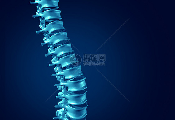 人类脊柱医疗保健解剖符号,骨骼脊骨结构特写深蓝色背景上空白图片