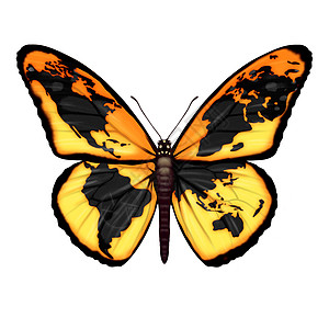 全球蝴蝶象征着环境移民难民危机,逃离世界危机区,成为种迁徙昆虫,地球国际社会生态希望的隐喻图片