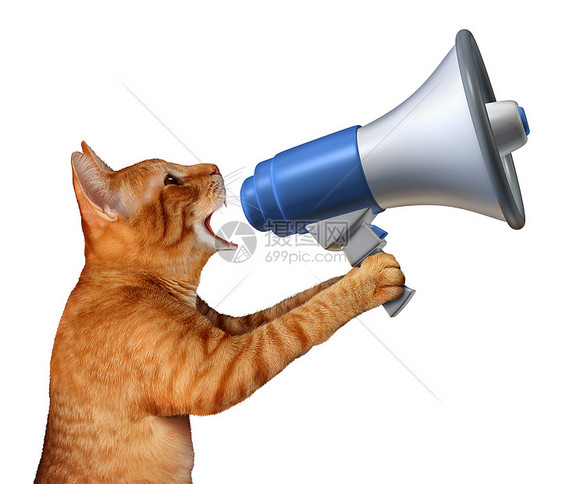 猫公告种通用的猫,手持扩音器扩音器,白色背景下宣布新闻宣传宠物兽医问题动物营销促销图片