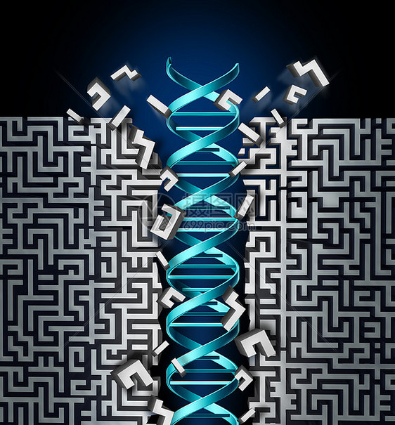 基因研究成功种医学科学突破符号,DNA链突破迷宫,遗传学的科学,寻找疾病遗传障碍的治疗方法图片