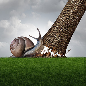 力量种蜗牛,推倒棵大树干,种商业成功的勇气的象征,以完成任何事情图片