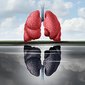 肺健康健康的肺,健康的人体器官的水中投射出种反映,心血管疾病风险的医学隐喻,并附3D插图元素图片