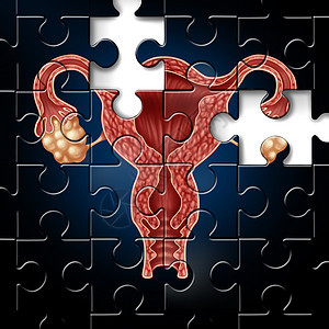 生育挑战孕医学符号个完整的谜题与子宫的图像与输卵管妇科图标女生殖问题的三维插图风格图片