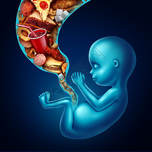 孕期健康饮食创意图图片