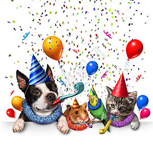 派宠物庆祝新派群宠物只快乐的狗,猫,鸟仓鼠庆祝周生日聚会与3D插图元素图片