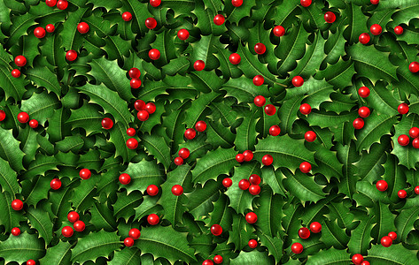 冬青背景与红色浆果冬季经典诞装饰元素新庆祝装饰孤立三维插图白色背景图片