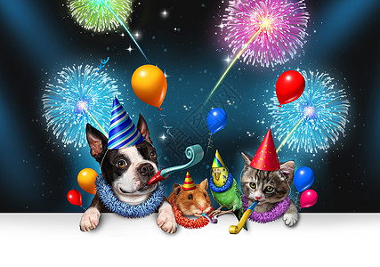 新宠物庆祝个夜晚聚会,烟花派群动物只快乐的狗,猫,鸟仓鼠庆祝周生日聚会与3D插图元素图片