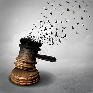 大赦法律衰落法律赦免的象征,法官的木槌木槌,被化为自由的飞鸟,宽恕公正的正义隐喻,自由种三维的图片