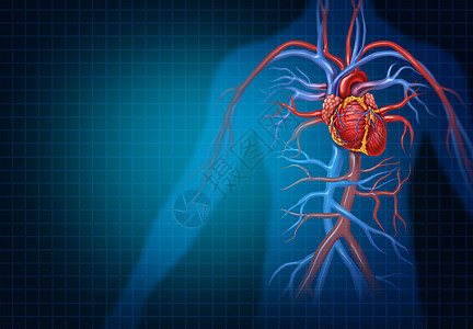 心脏病学心血管心脏人类血液循环健康医学符号,代表个健康的循环心脏器官与静脉动脉三维插图风格图片