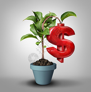 货币树富成效的投资商业金融棵树,种植个苹果,形状个货币符号,个利可图的金融图标与3D插图元素背景